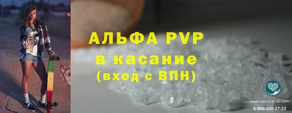 ГАЛЛЮЦИНОГЕННЫЕ ГРИБЫ Верея